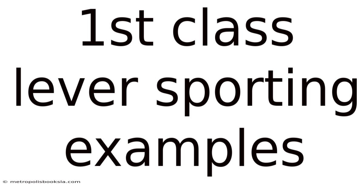 1st Class Lever Sporting Examples