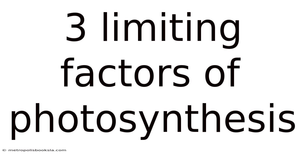 3 Limiting Factors Of Photosynthesis
