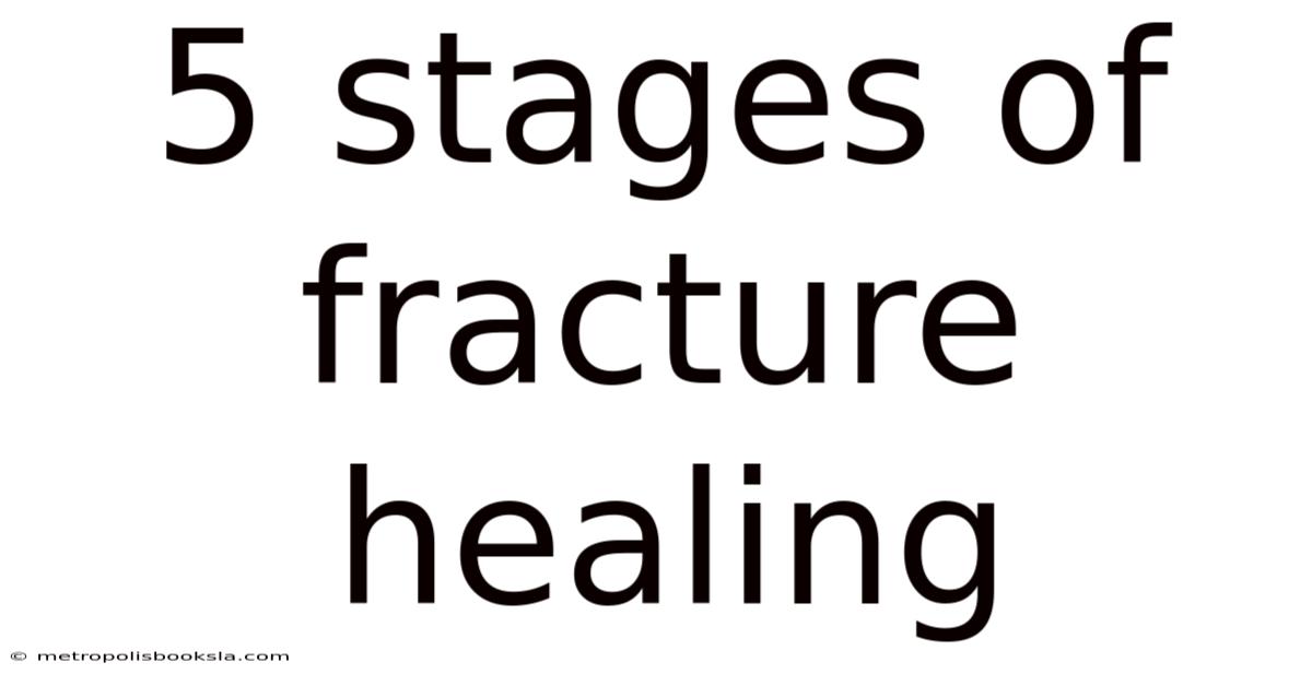5 Stages Of Fracture Healing