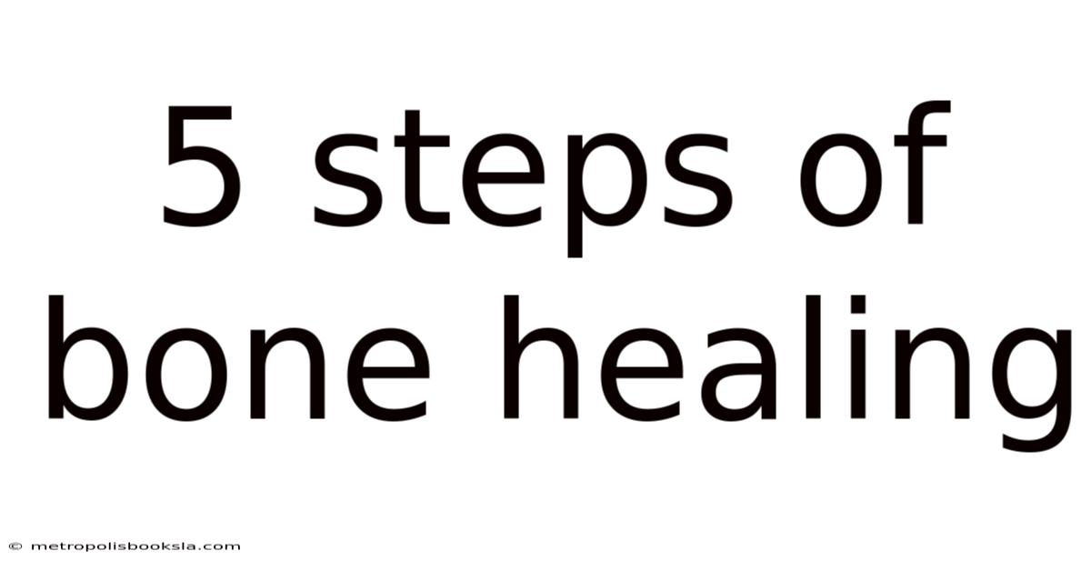 5 Steps Of Bone Healing