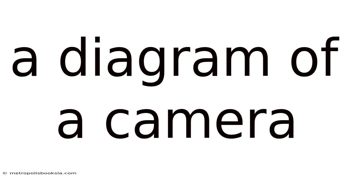 A Diagram Of A Camera