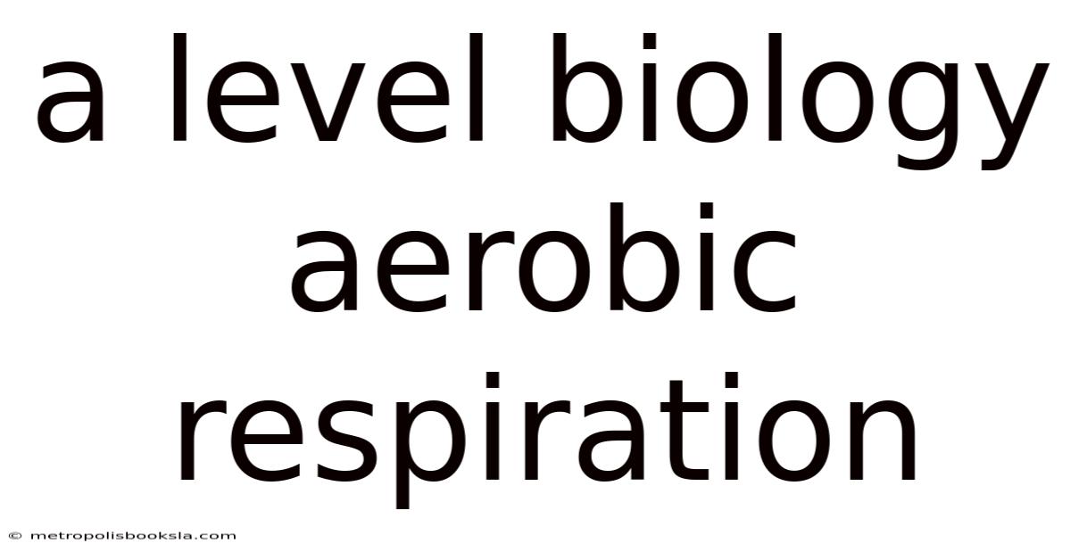 A Level Biology Aerobic Respiration