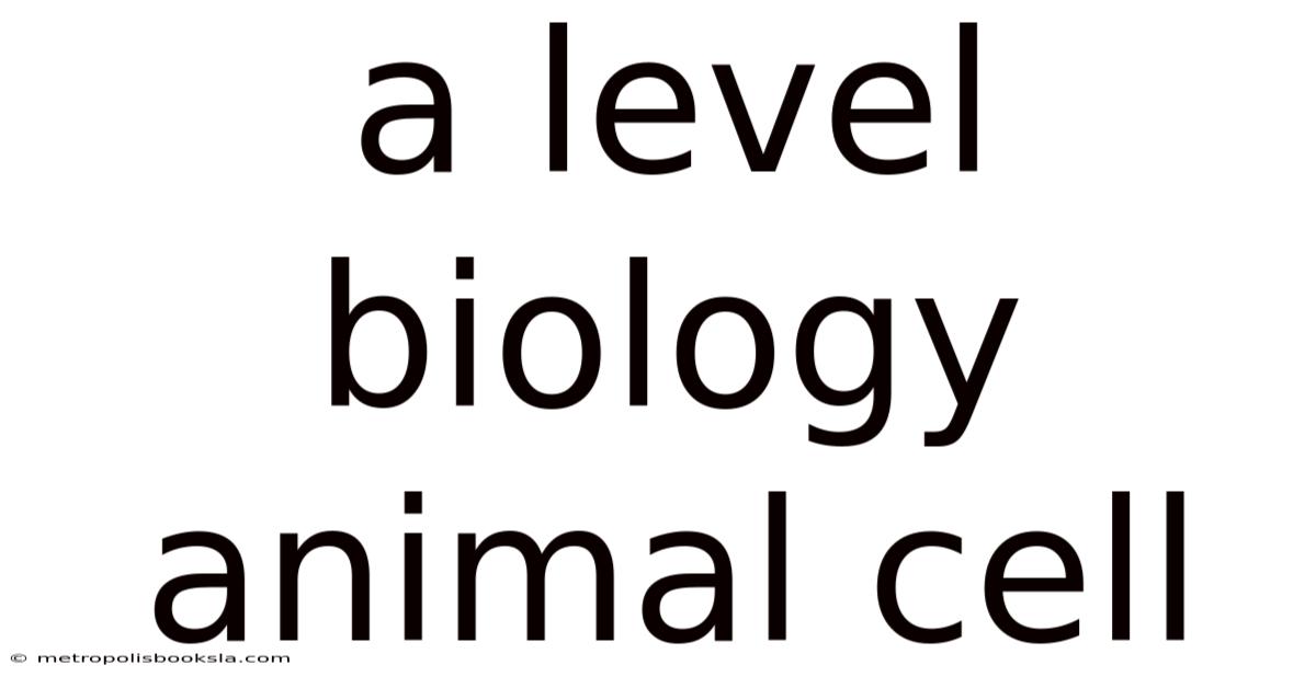A Level Biology Animal Cell