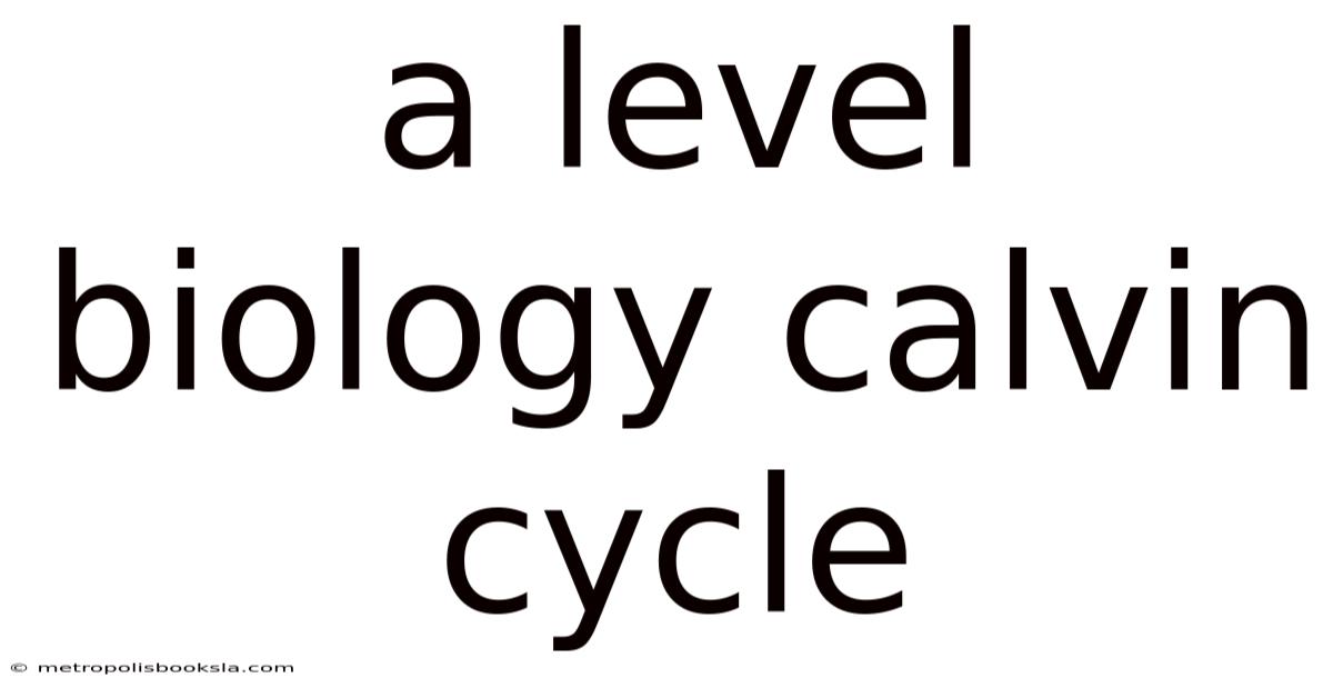 A Level Biology Calvin Cycle