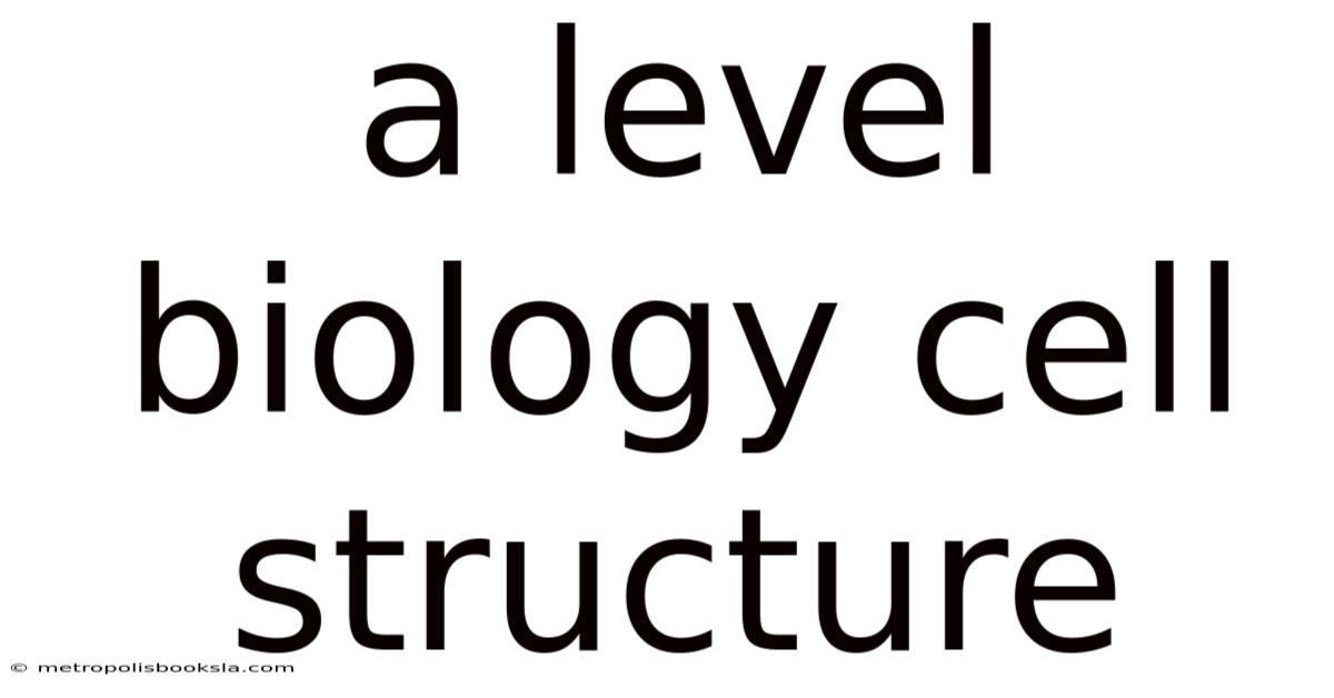 A Level Biology Cell Structure