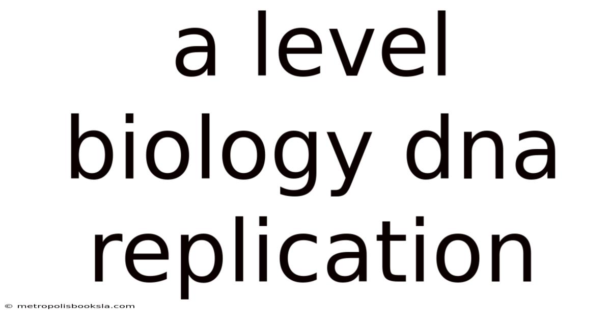 A Level Biology Dna Replication