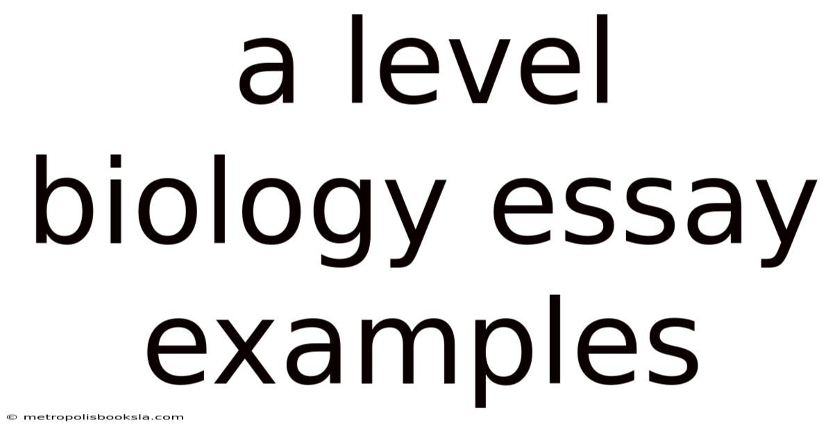 A Level Biology Essay Examples