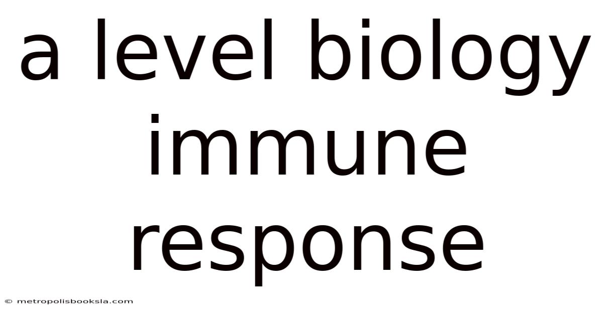 A Level Biology Immune Response
