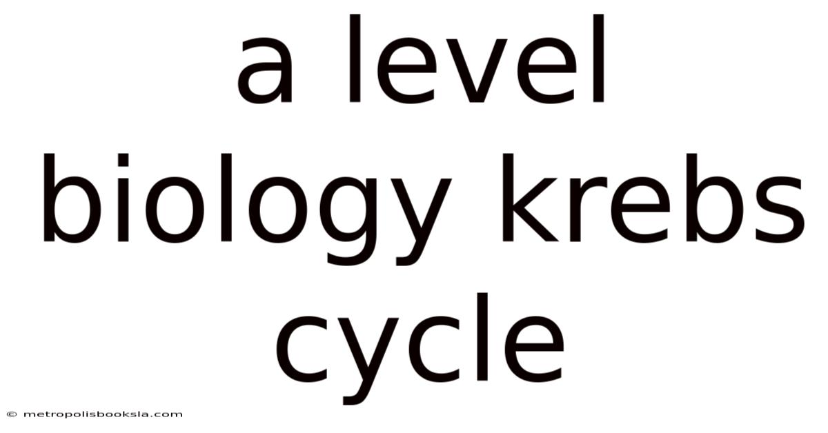 A Level Biology Krebs Cycle