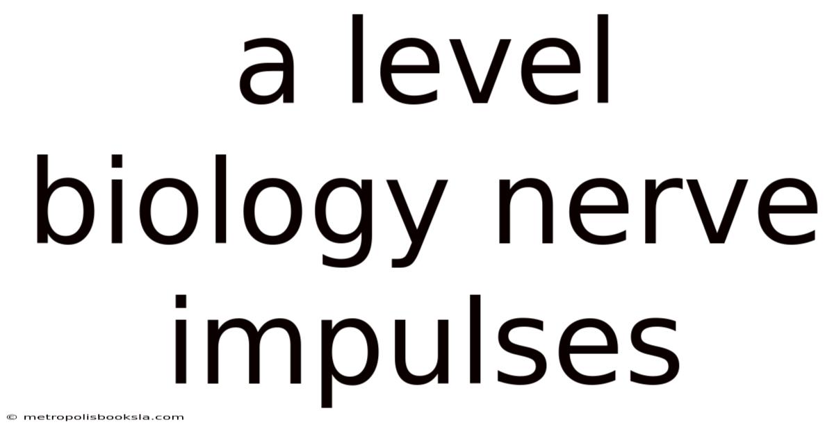 A Level Biology Nerve Impulses