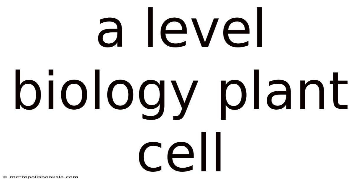 A Level Biology Plant Cell