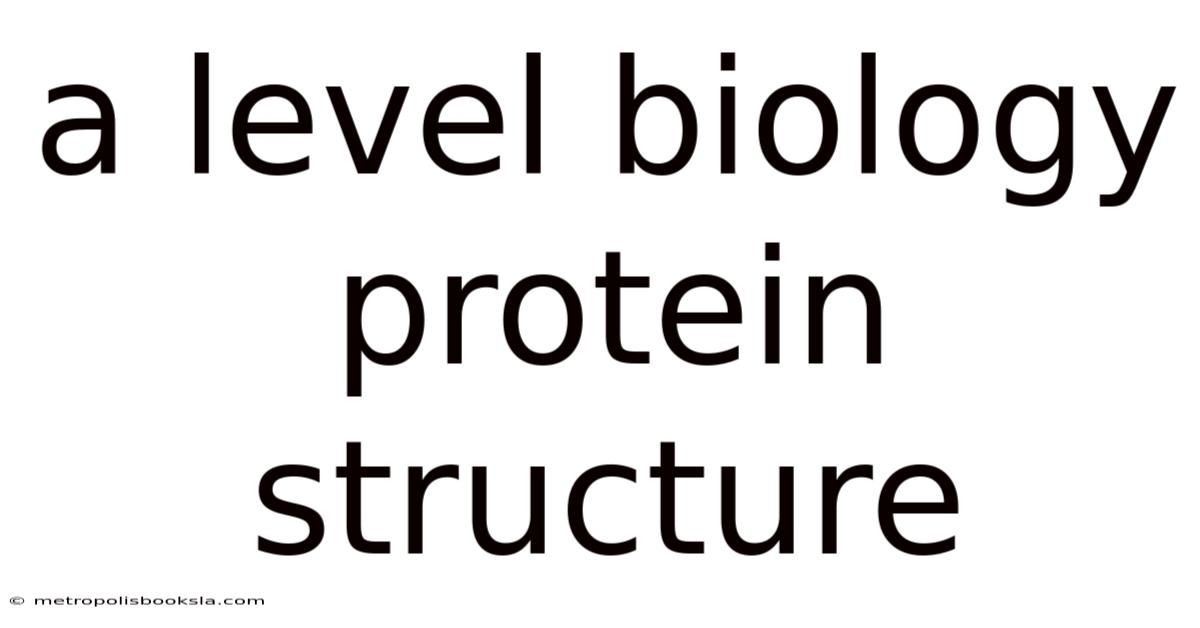 A Level Biology Protein Structure