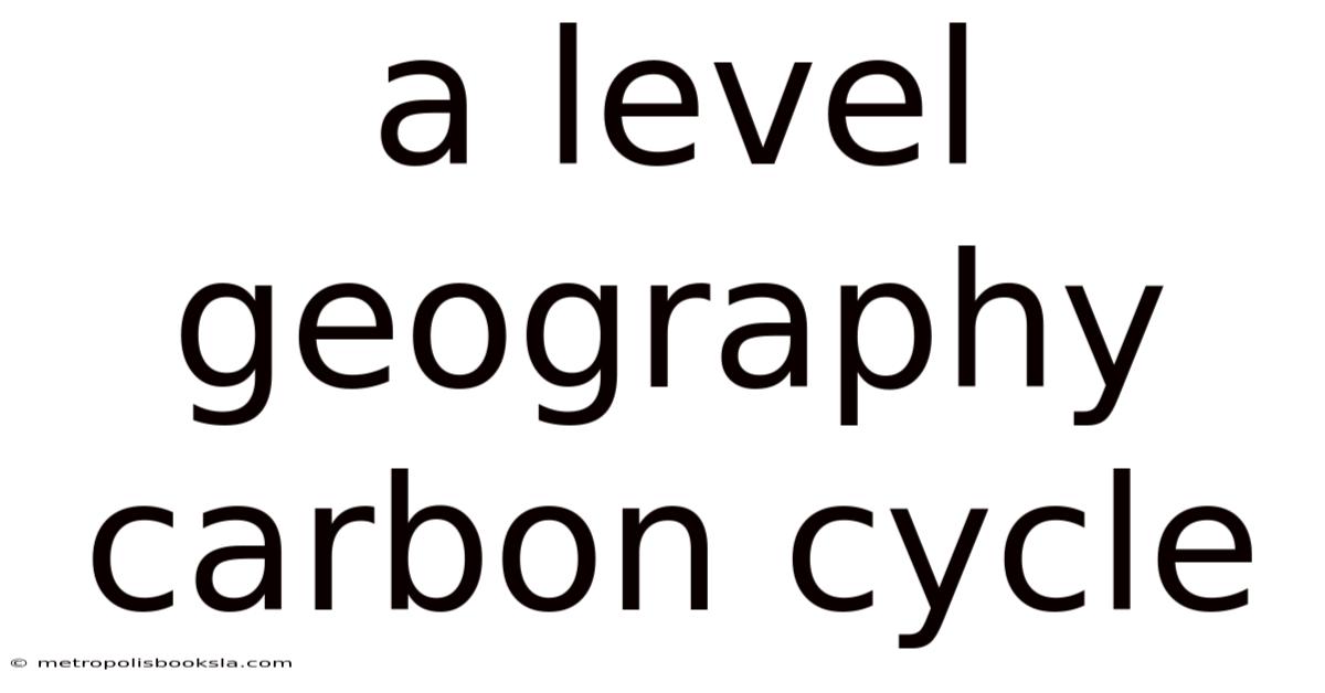 A Level Geography Carbon Cycle