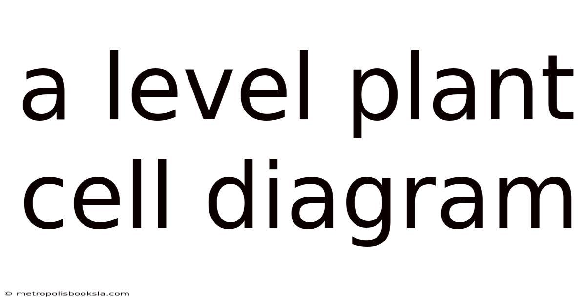 A Level Plant Cell Diagram