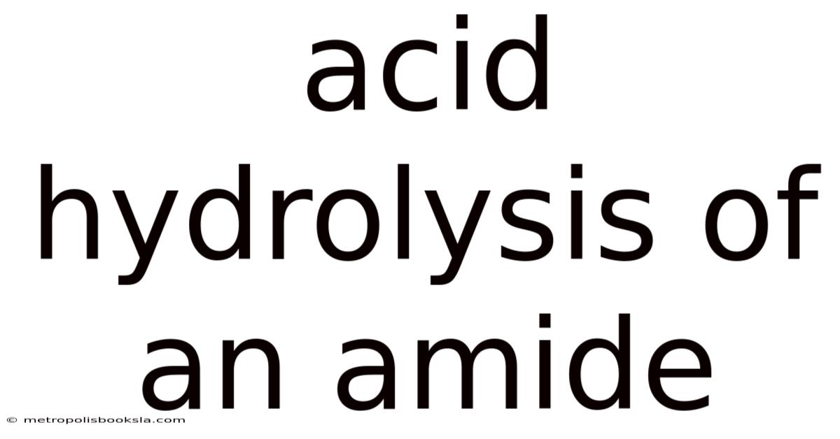 Acid Hydrolysis Of An Amide