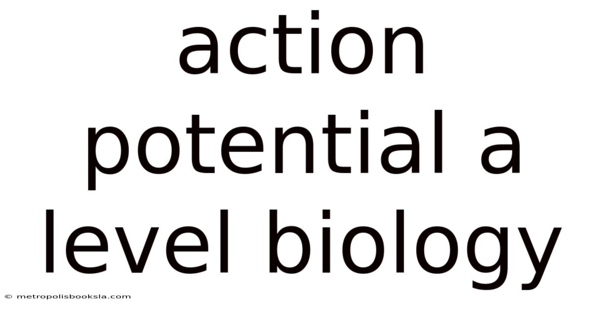 Action Potential A Level Biology