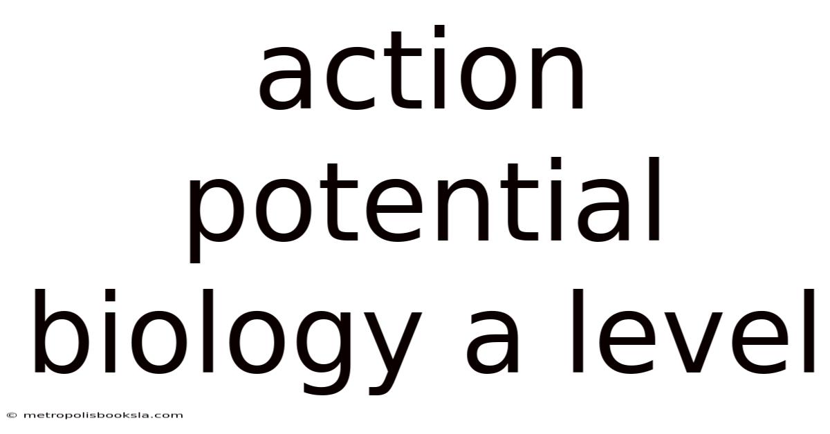 Action Potential Biology A Level