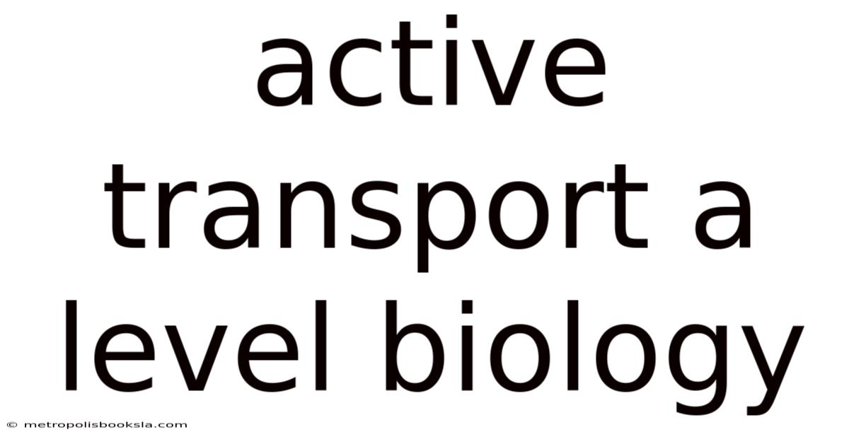Active Transport A Level Biology