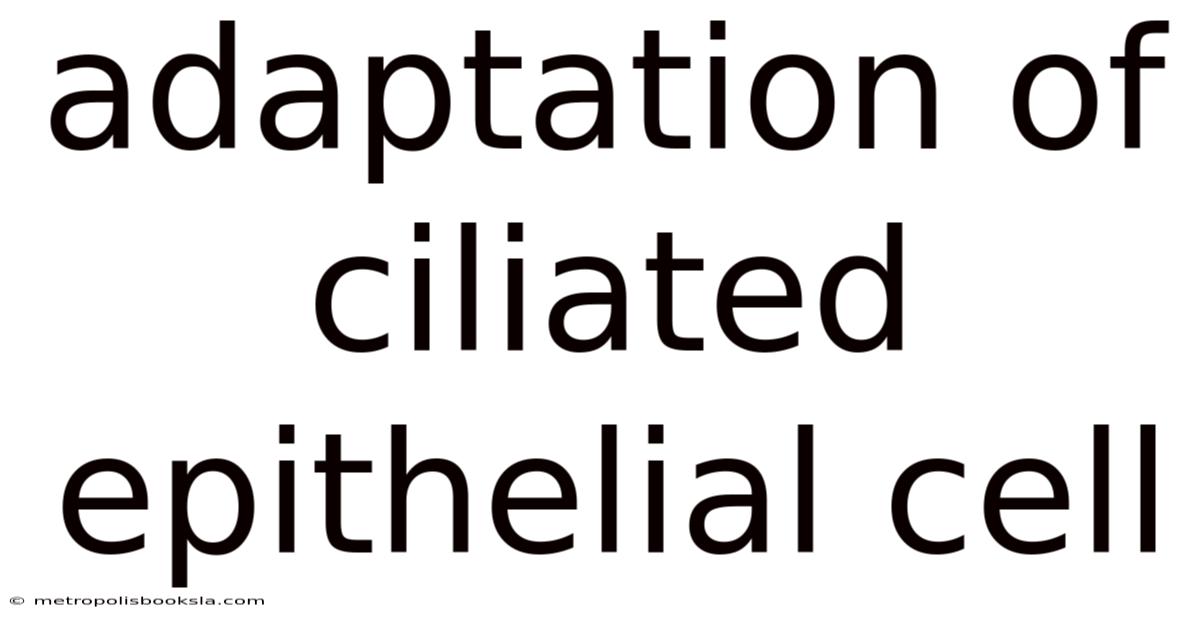 Adaptation Of Ciliated Epithelial Cell
