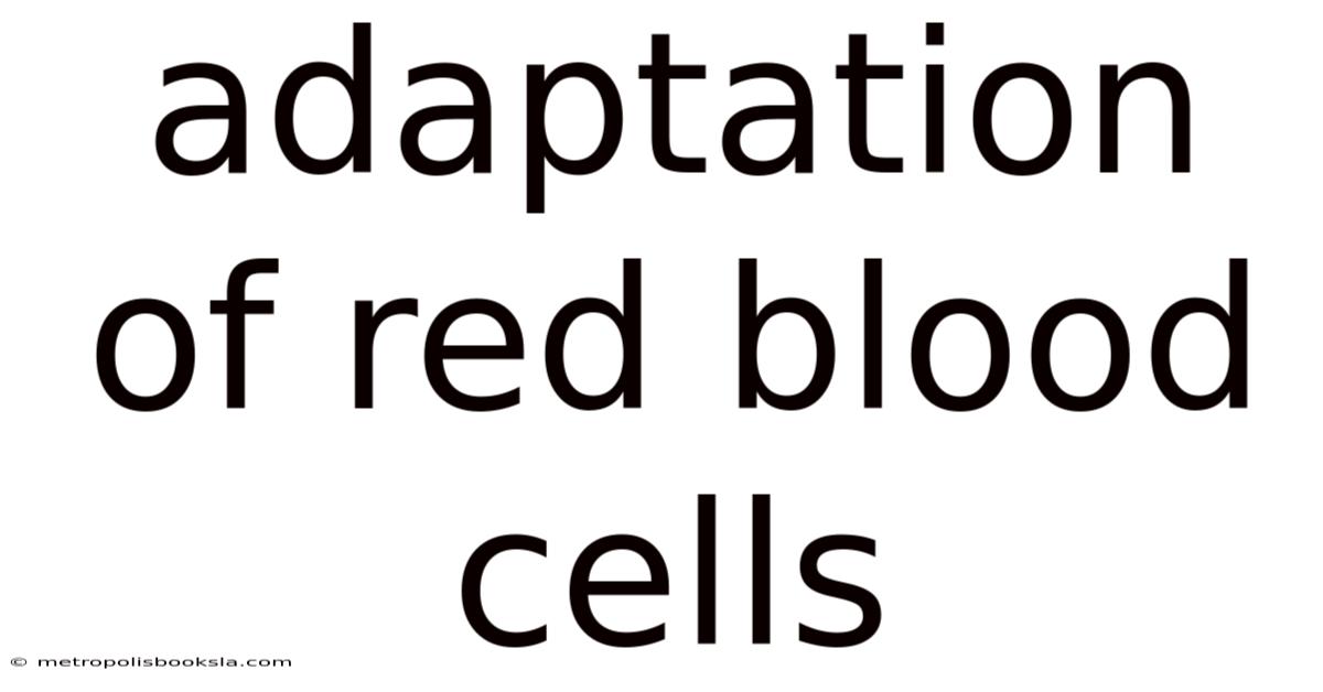 Adaptation Of Red Blood Cells
