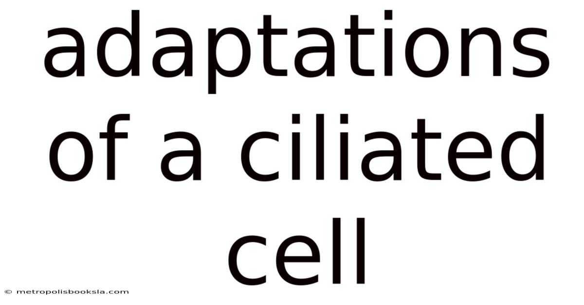 Adaptations Of A Ciliated Cell