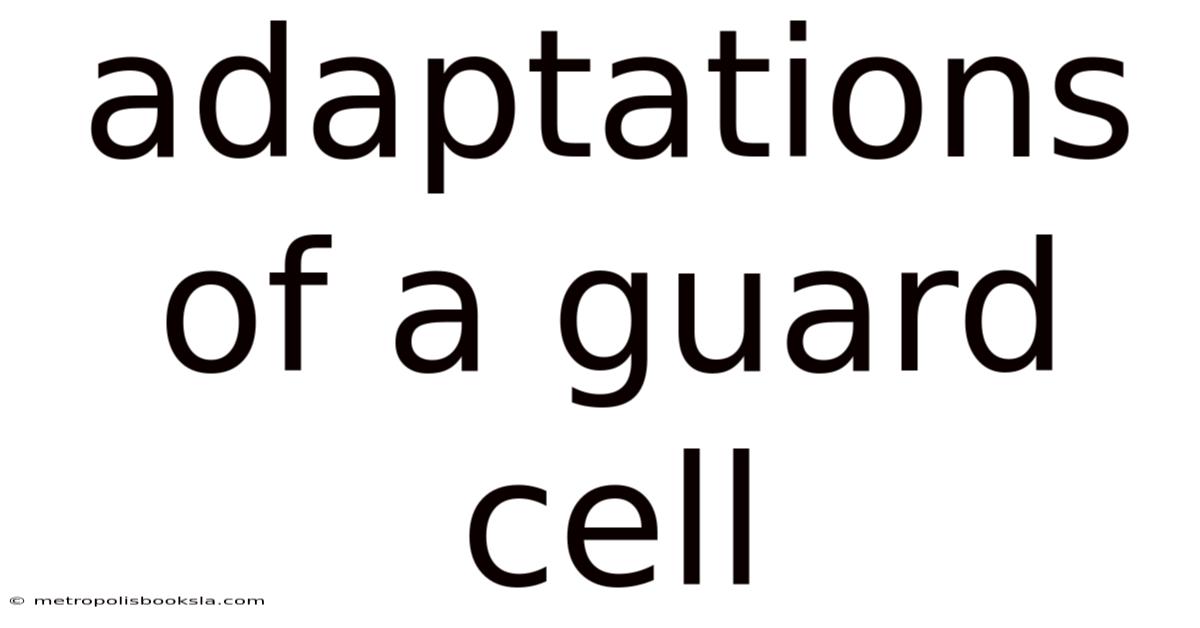 Adaptations Of A Guard Cell