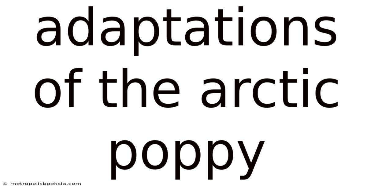 Adaptations Of The Arctic Poppy