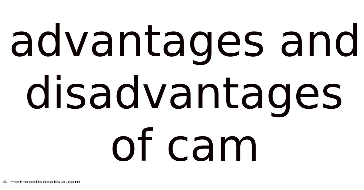 Advantages And Disadvantages Of Cam