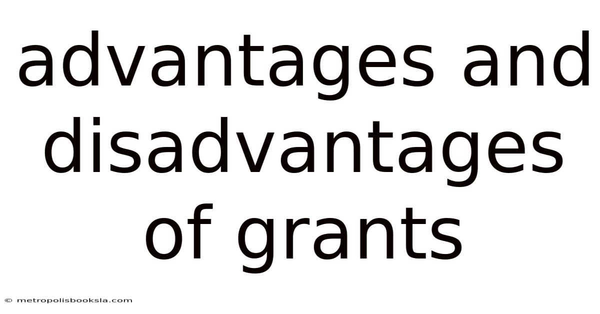 Advantages And Disadvantages Of Grants