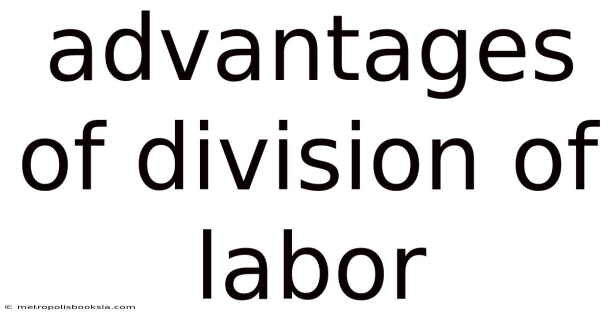 Advantages Of Division Of Labor