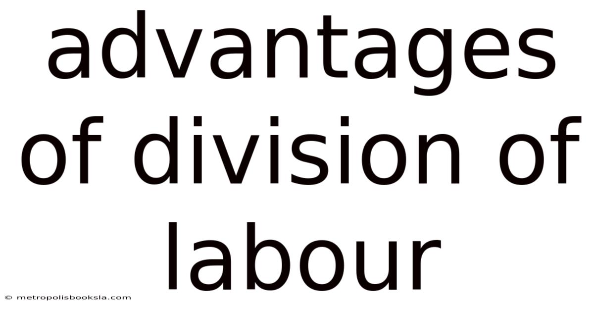 Advantages Of Division Of Labour