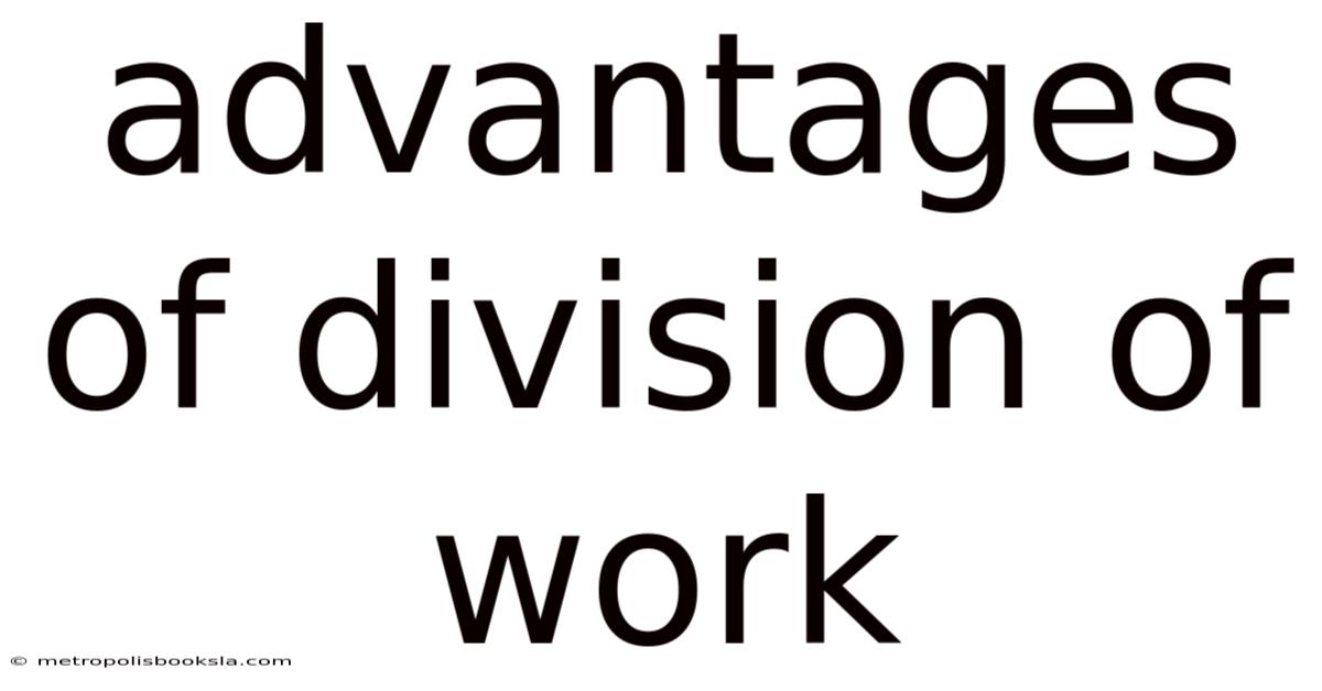 Advantages Of Division Of Work
