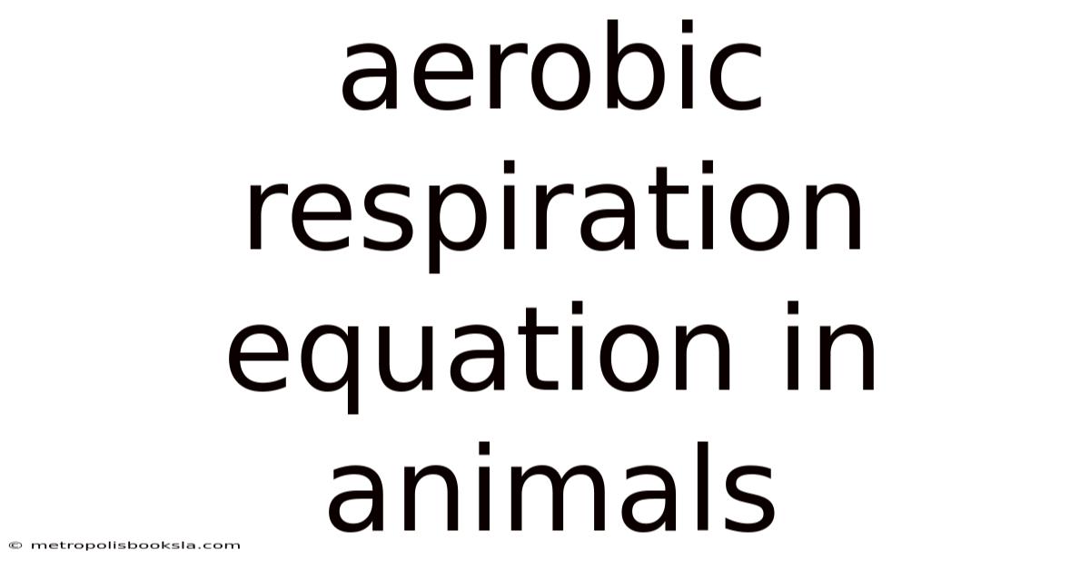 Aerobic Respiration Equation In Animals