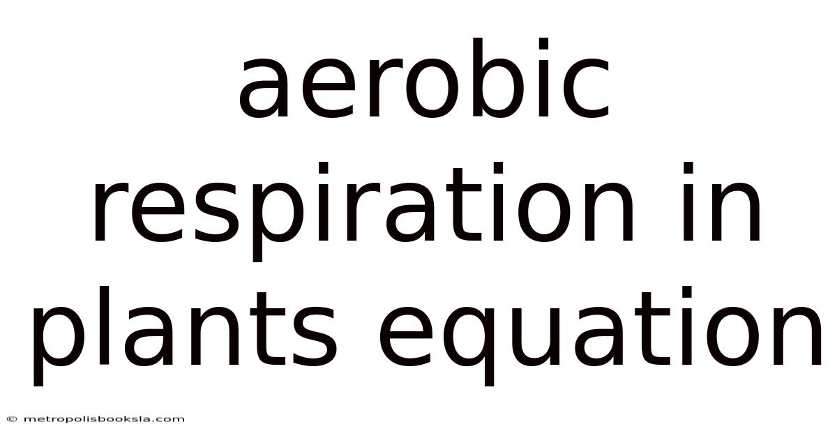 Aerobic Respiration In Plants Equation