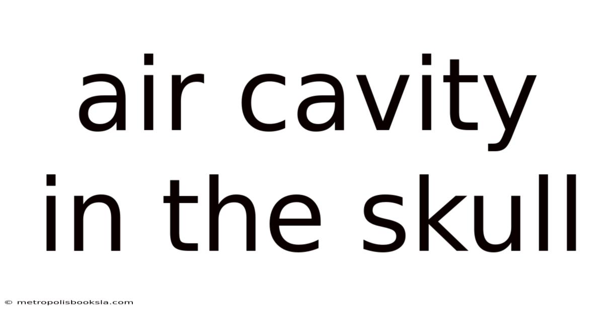 Air Cavity In The Skull
