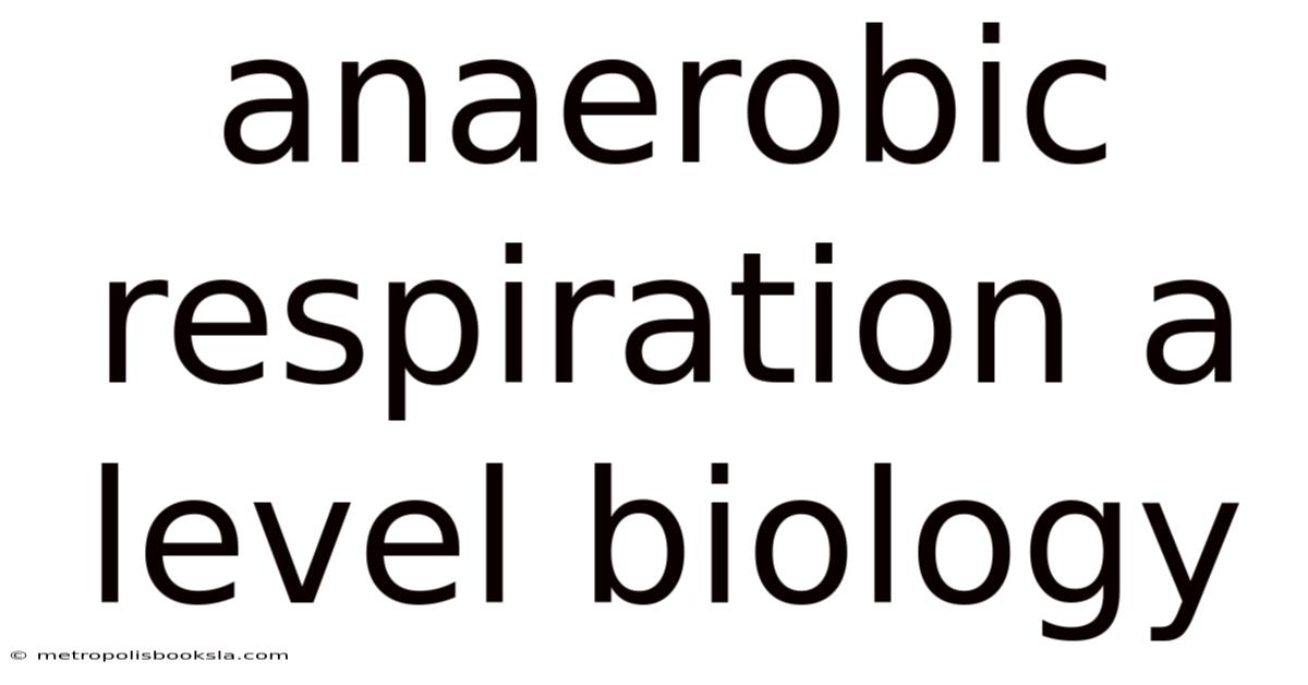 Anaerobic Respiration A Level Biology