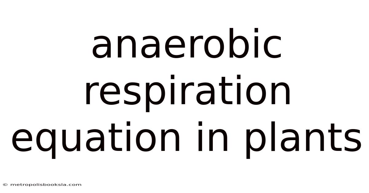 Anaerobic Respiration Equation In Plants