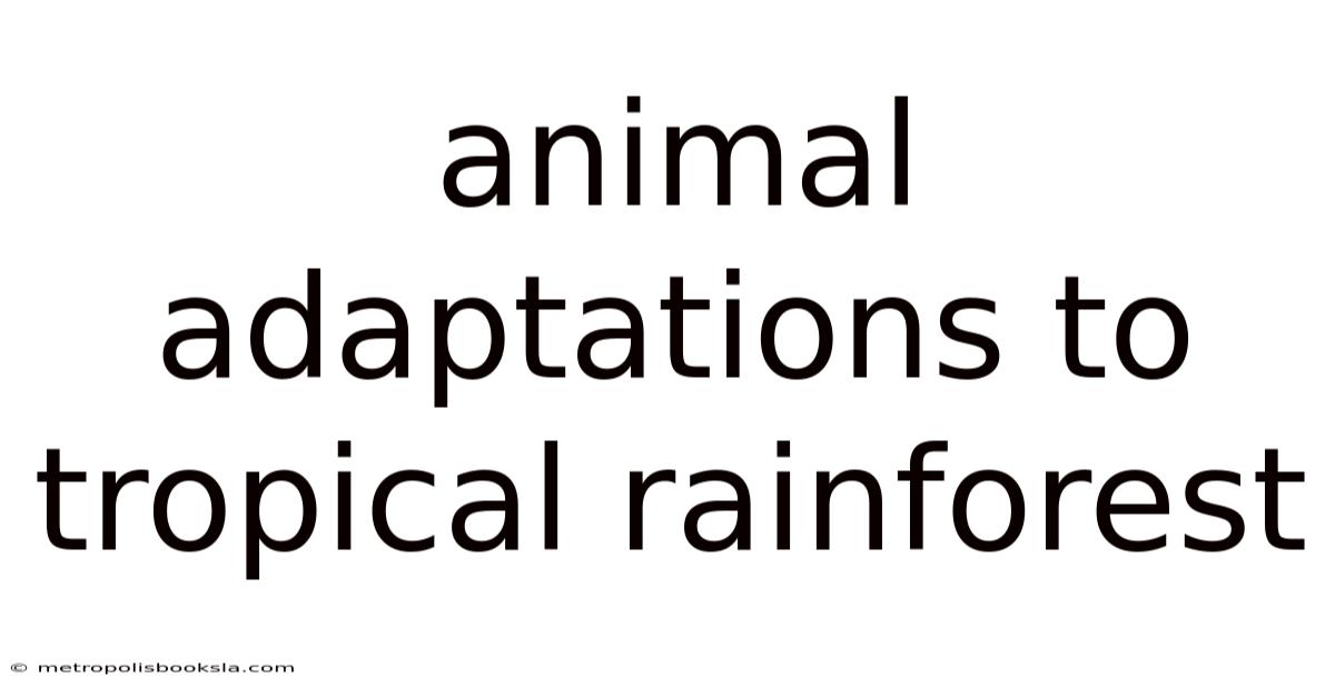 Animal Adaptations To Tropical Rainforest