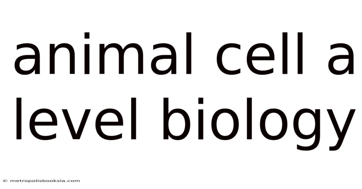 Animal Cell A Level Biology