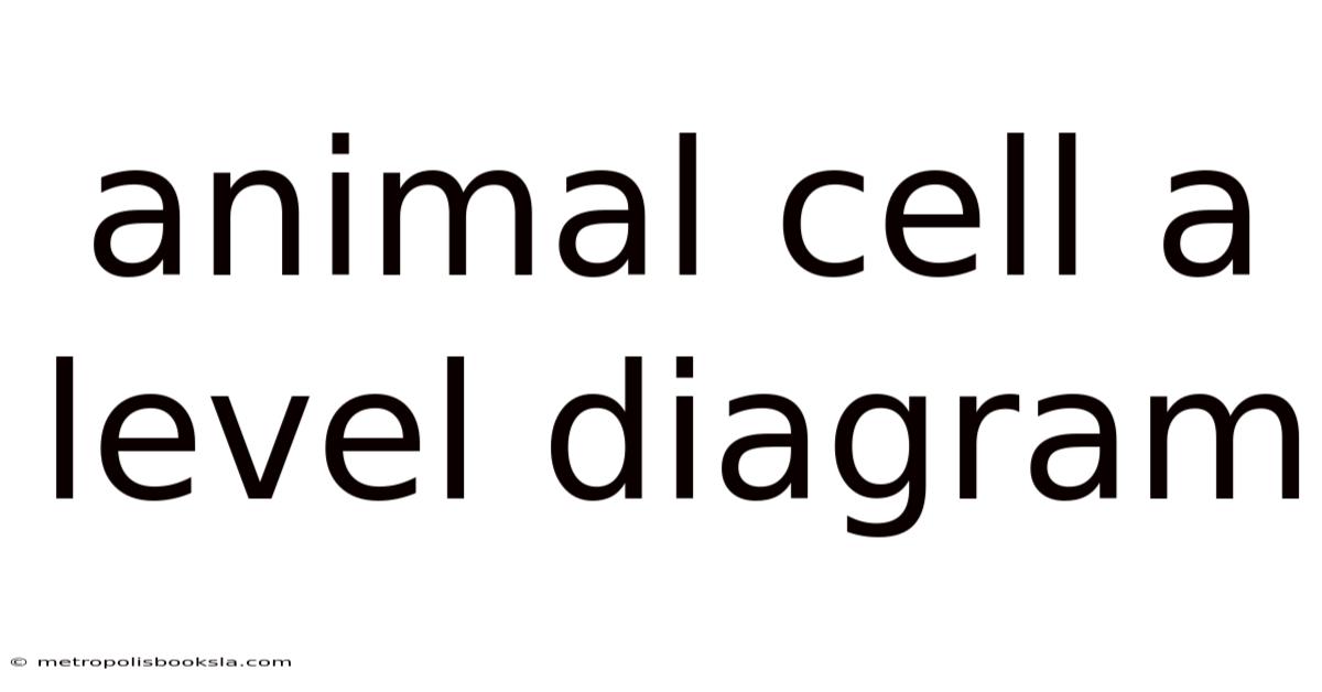 Animal Cell A Level Diagram