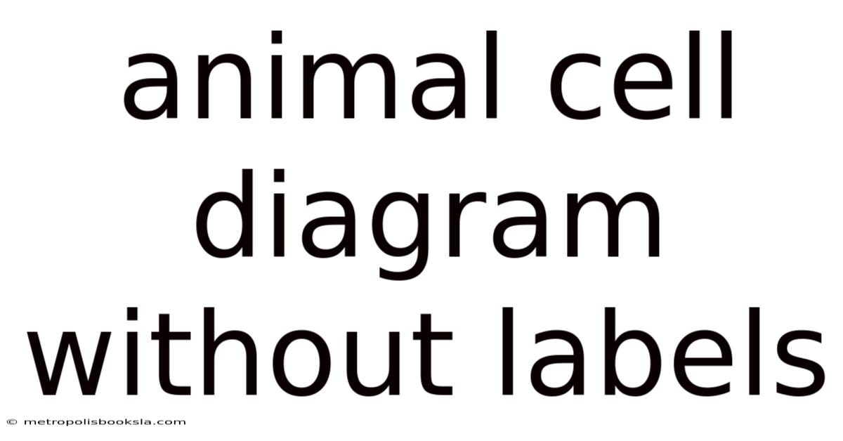 Animal Cell Diagram Without Labels