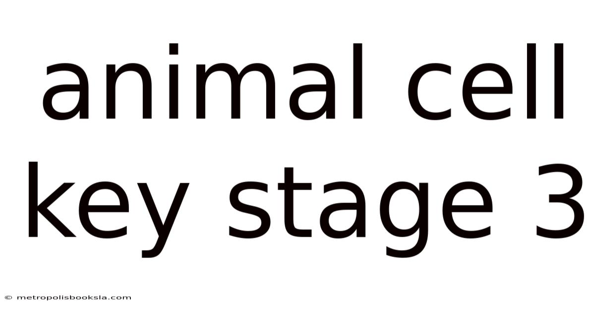 Animal Cell Key Stage 3