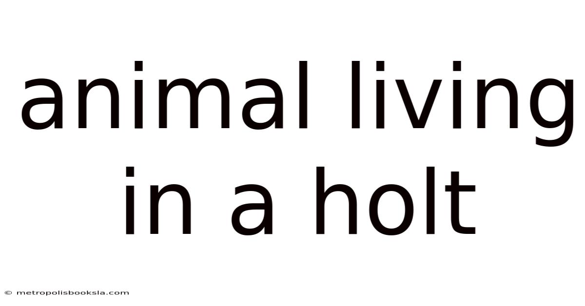 Animal Living In A Holt