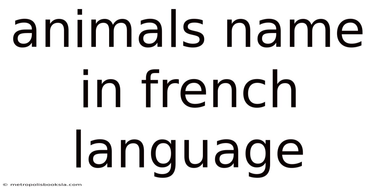 Animals Name In French Language