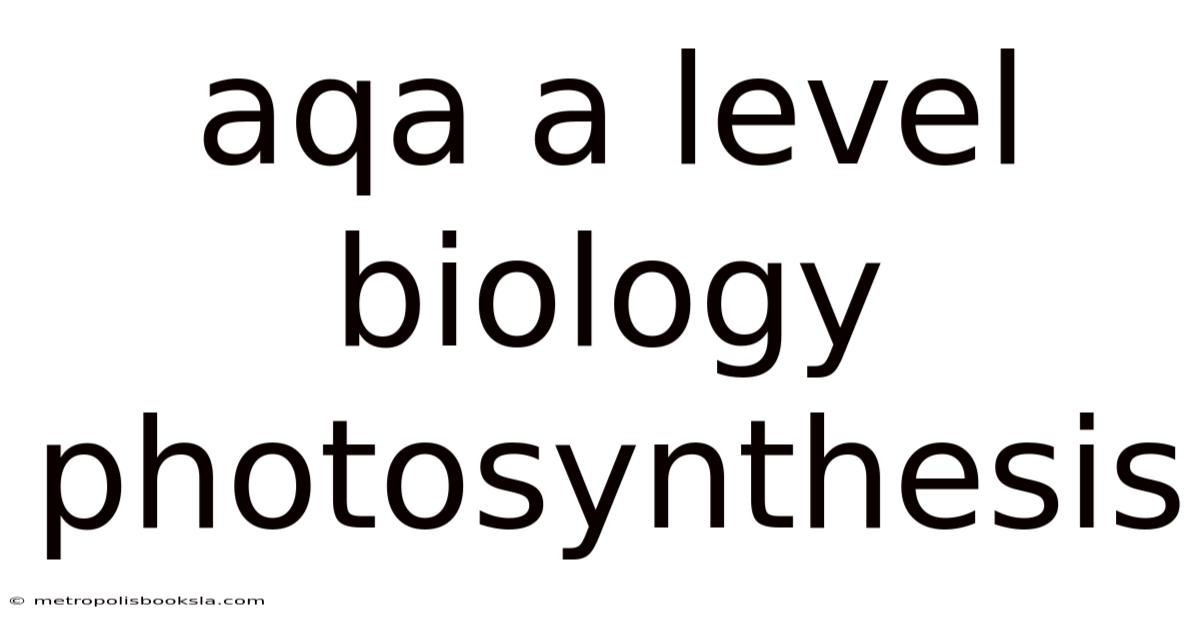 Aqa A Level Biology Photosynthesis