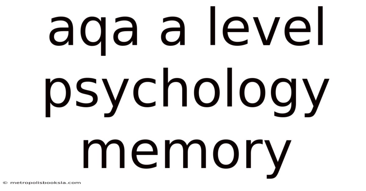 Aqa A Level Psychology Memory