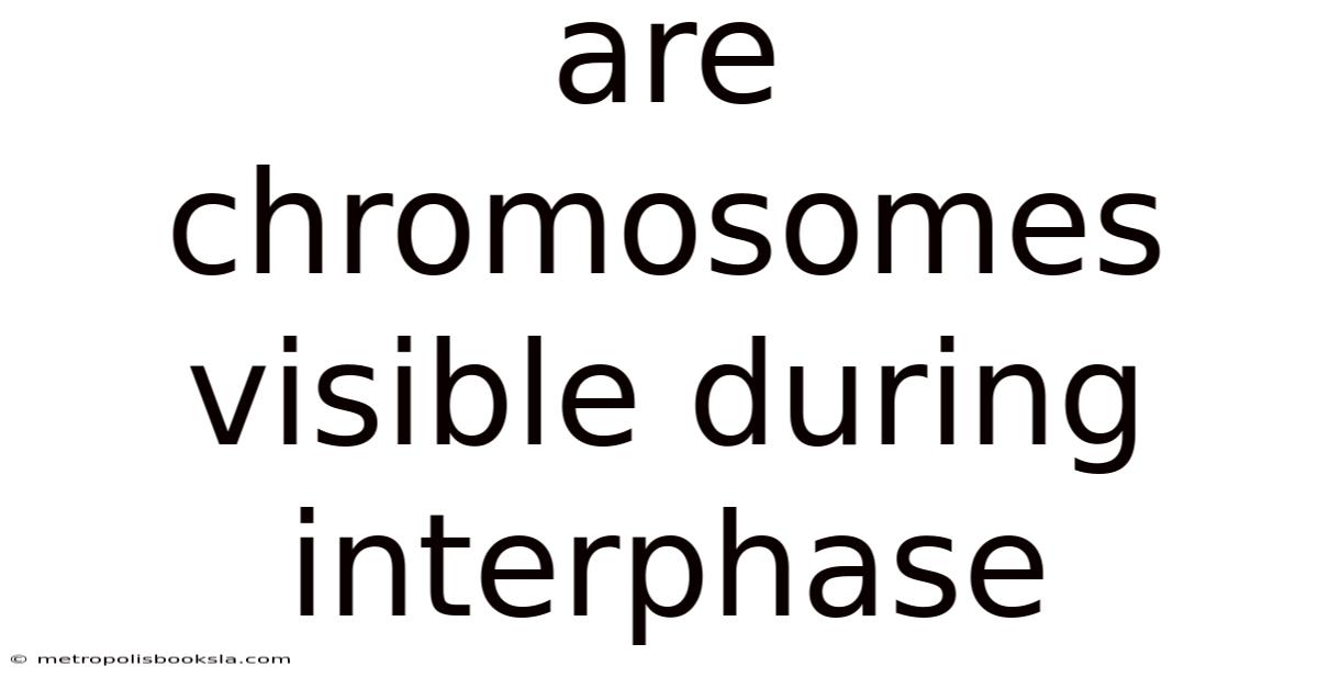 Are Chromosomes Visible During Interphase