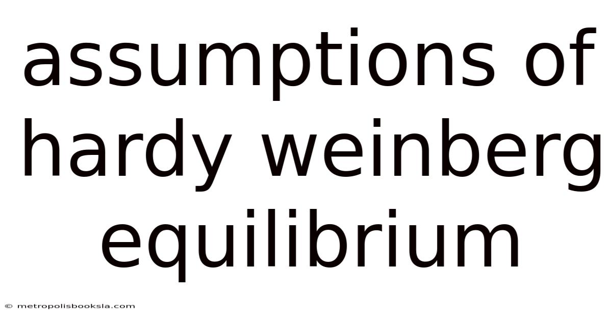 Assumptions Of Hardy Weinberg Equilibrium