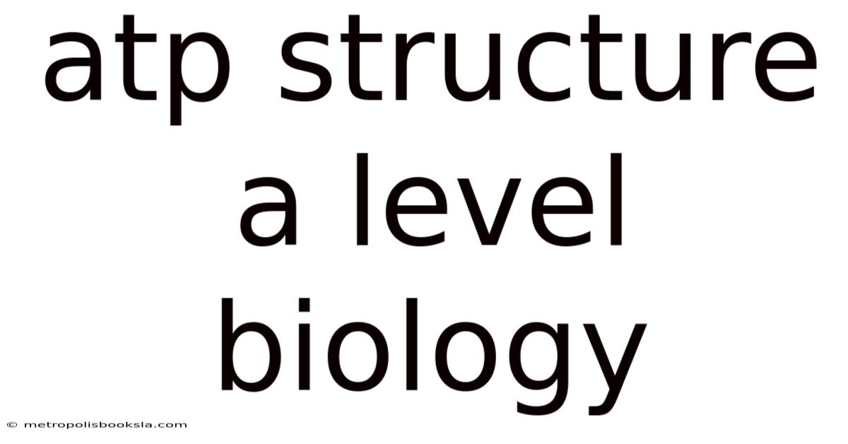 Atp Structure A Level Biology