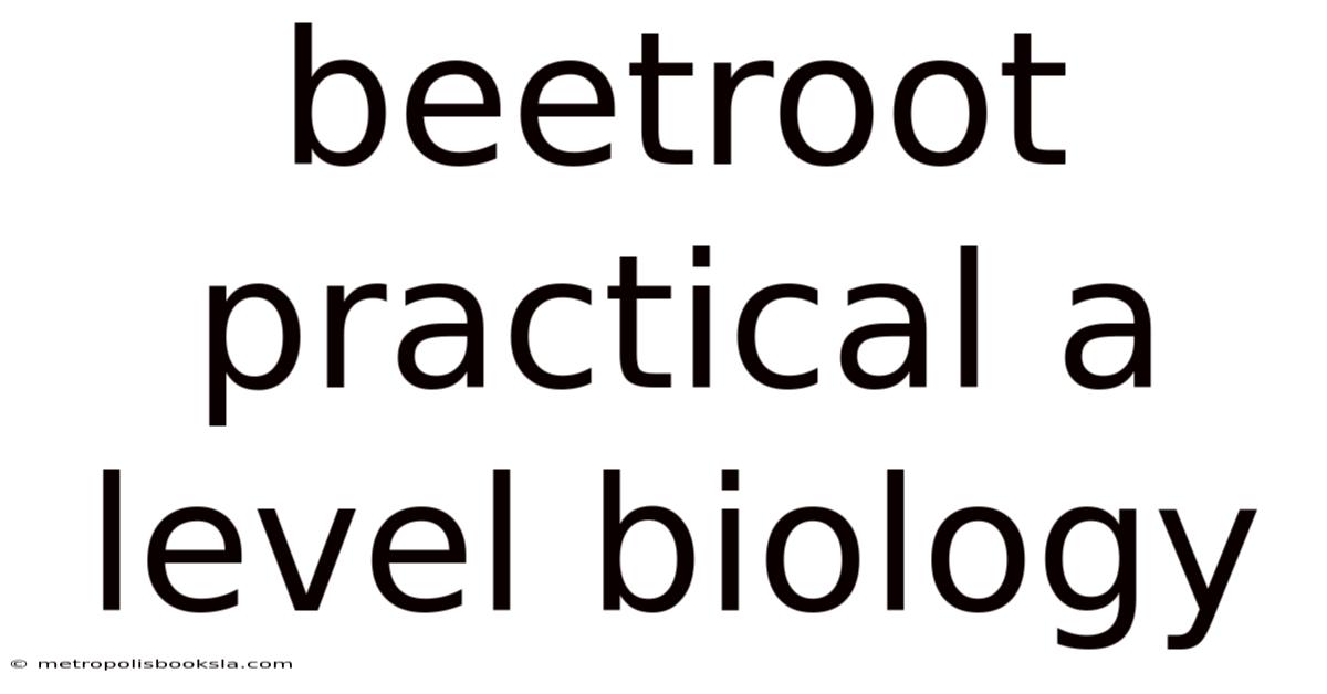 Beetroot Practical A Level Biology